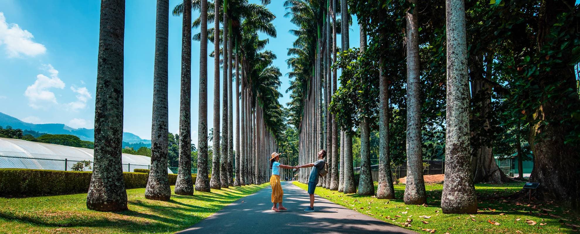 Arboretum Tour in Sri Lanka
